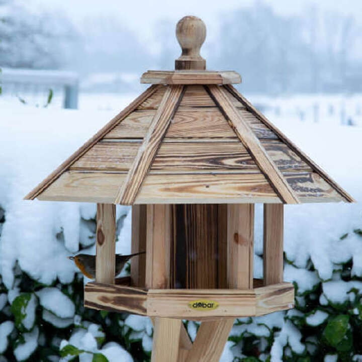 vogelhaus vogelfutter 800x800